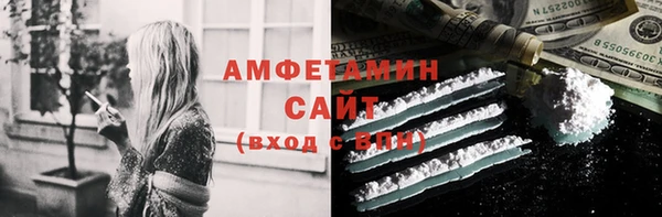 прущие грибы Абаза