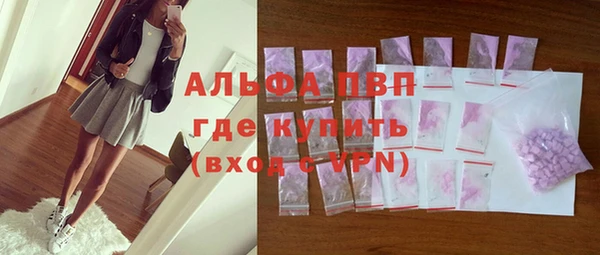 прущие грибы Абаза