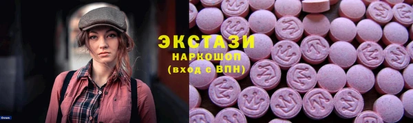 гашик Алексин