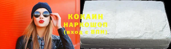 прущие грибы Абаза