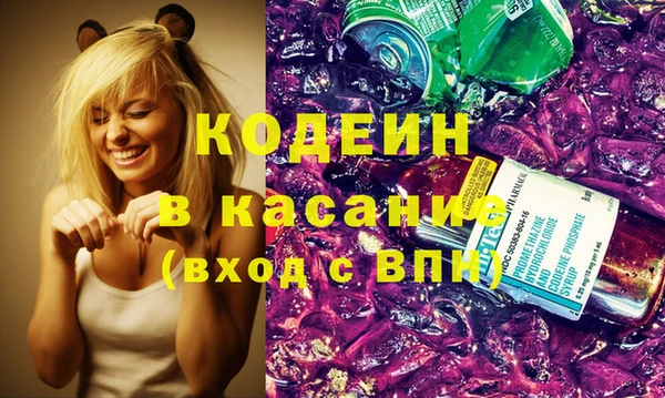 прущие грибы Абаза