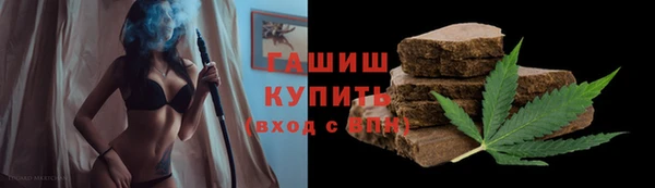прущие грибы Абаза