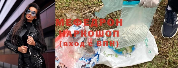 прущие грибы Абаза