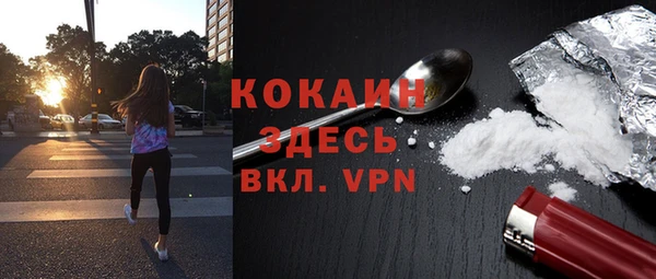 прущие грибы Абаза