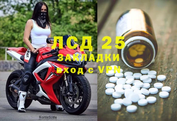 прущие грибы Абаза
