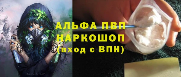 гашик Алексин