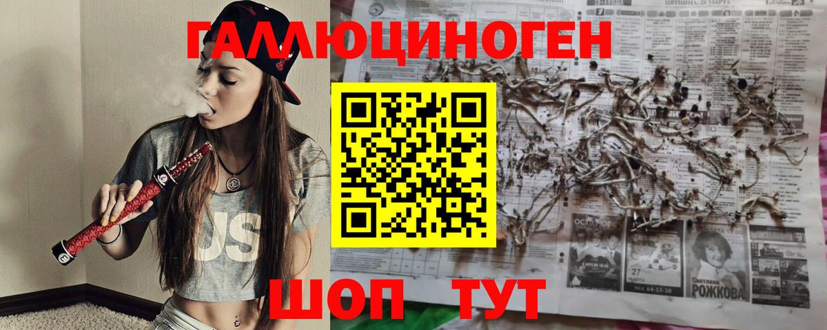 Псилоцибиновые грибы Cubensis  Вход с VPN  Касимов 